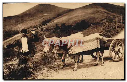 Cartes postales Folklore Pays basque Attelage basque Boeufs