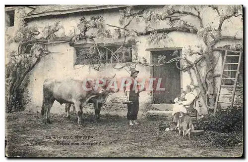 Cartes postales Folklore Retour pour le repos de midi Attelage Boeufs