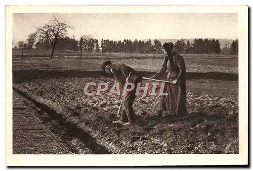 Cartes postales Folklore Paysans Cultures