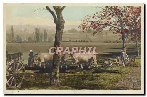 Cartes postales Folklore Attelage Boeufs Labour