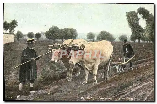 Cartes postales Folklore Vichy Labourage aux environs Boeufs