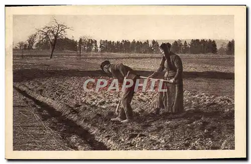 Cartes postales Folklore Culture dans les champs