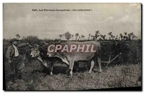 Cartes postales Folklore les travaux champetres le laboureur