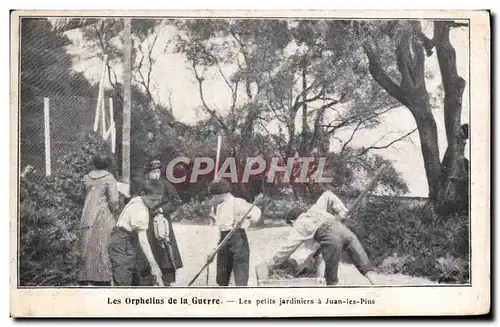 Cartes postales Orphelins de la guerre Les petits jardiniers a Juan les Pins