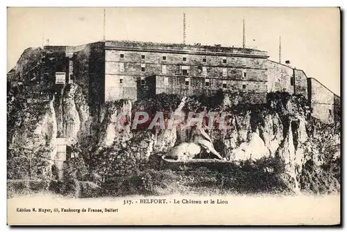 Cartes postales Belfort Le Chateau Et Le Lion