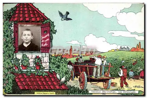 Cartes postales Fantaisie Photographie Enfant Travaux des champs Les vendanges