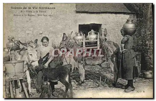 Cartes postales Folklore Visite a la ferme Ane Mule TOP