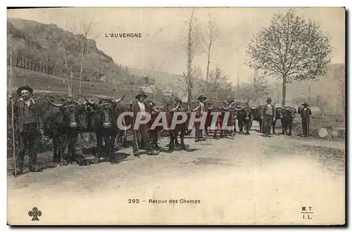 Cartes postales Folklore Auvergne Retour des champs Vaches