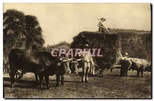 Cartes postales Folklore Auvergne La fenaison Cheval