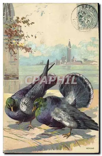 Cartes postales Colombe Colombophilie