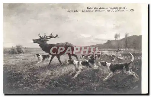 Cartes postales Chiens Chien Chasse a courre Le dernier debucher Maisson Cerf