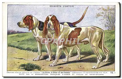 Cartes postales Chien Chiens Chasse a courre Briquets d&#39Artois