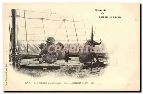 Cartes postales Cirque Barnum et Bailey Les artistes gigantesques Elephant Elephants