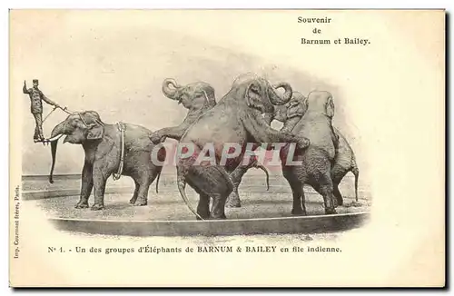 Cartes postales Cirque Barnum et Bailey Un groupe d&#39elephants en file indienne Elephant