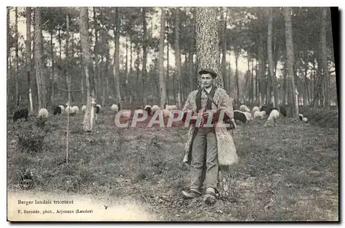 Cartes postales Folklore Berger landais tricotant Moutons