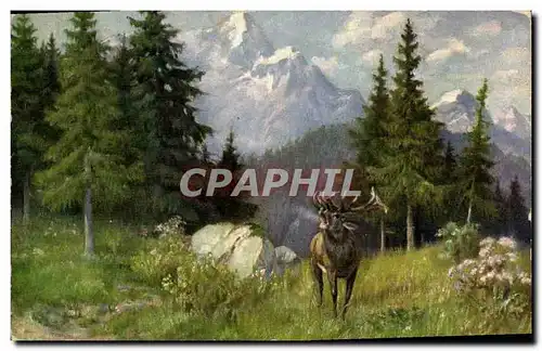 Cartes postales Chasse Cerf