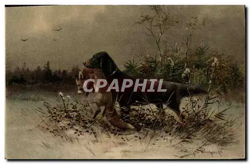 Cartes postales Chasse Chien Renard