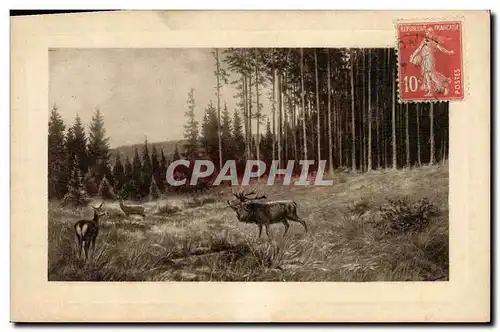 Cartes postales Chasse Cerf