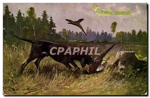 Cartes postales Chasse Chien Perdrix