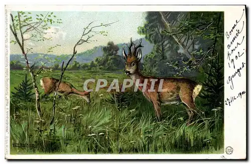 Cartes postales Chasse Biche