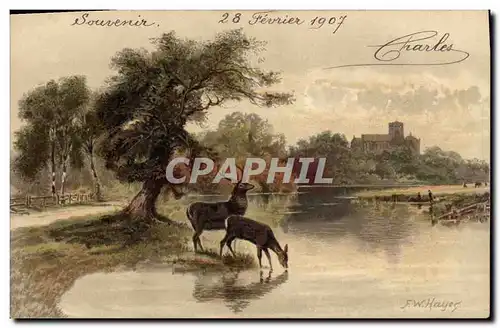 Cartes postales Chasse Cerf Biche