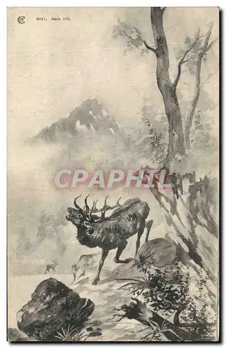 Cartes postales Chasse Cerf