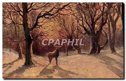 Cartes postales Chasse Cerf