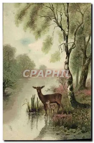 Cartes postales Chasse Biche