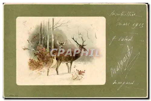 Cartes postales Chasse Cerf Biches