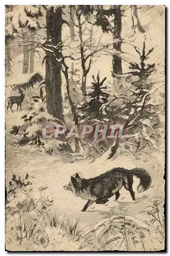 Cartes postales Chasse Renard Loup Biche