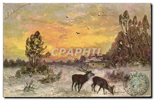 Cartes postales Chasse Biche