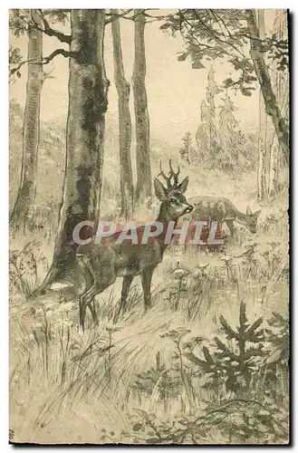 Cartes postales Chasse Biche