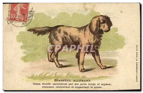 Cartes postales Chasse Chien Epagneul allemand Chien d&#39arret