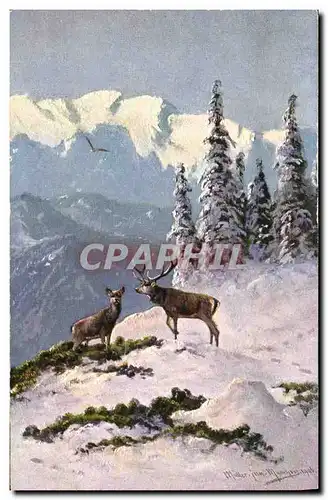 Cartes postales Chasse Cerf Biche