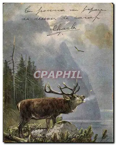 Cartes postales Chasse Cerf