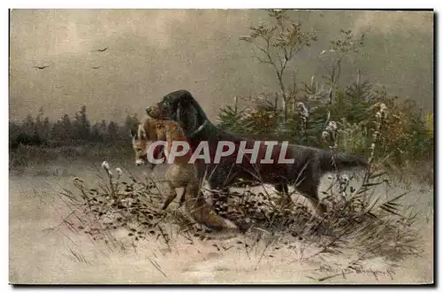 Cartes postales Chasse Chien Renard