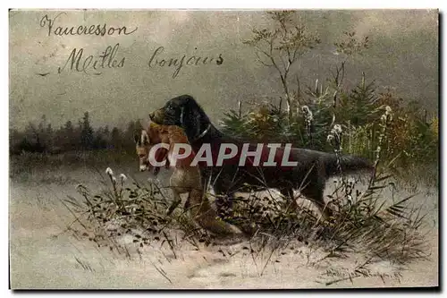 Cartes postales Chasse Chien Renard