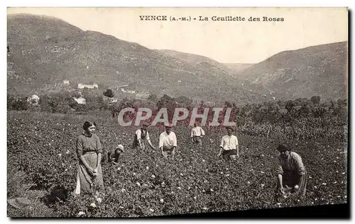 Cartes postales Cueillette des roses Vence