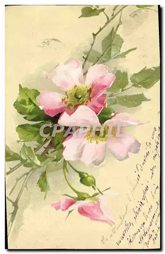 Cartes postales Fantaisie Fleurs