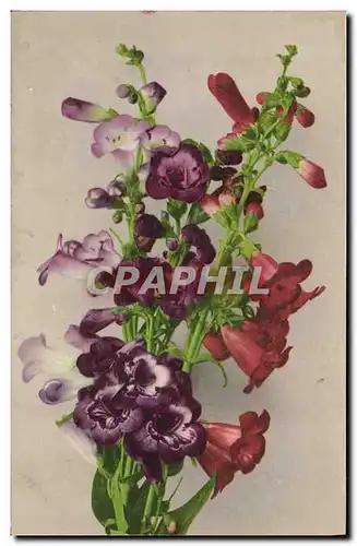 Cartes postales Fantaisie Fleurs