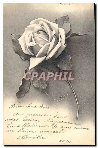 Cartes postales Fantaisie Fleurs