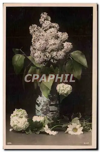 Cartes postales Fantaisie Fleurs