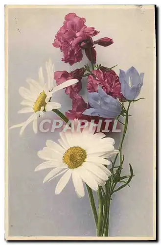 Cartes postales Fantaisie Fleurs