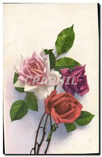 Cartes postales Fantaisie Fleurs