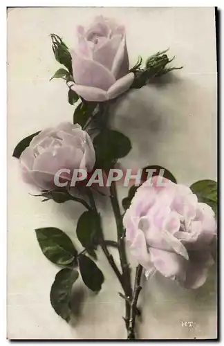 Cartes postales Fantaisie Fleurs