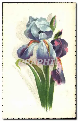 Cartes postales Fantaisie Fleurs