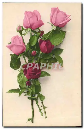 Cartes postales Fantaisie Fleurs