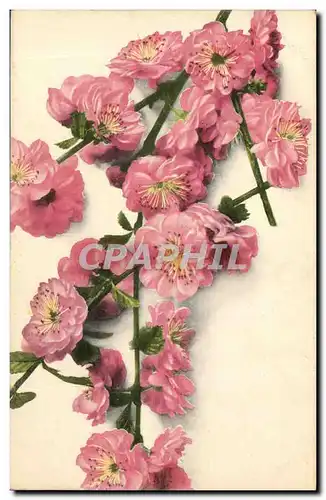 Cartes postales Fantaisie Fleurs