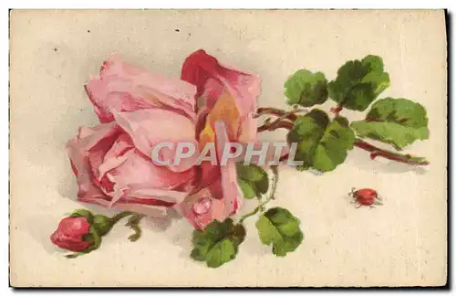 Cartes postales Fantaisie Fleurs