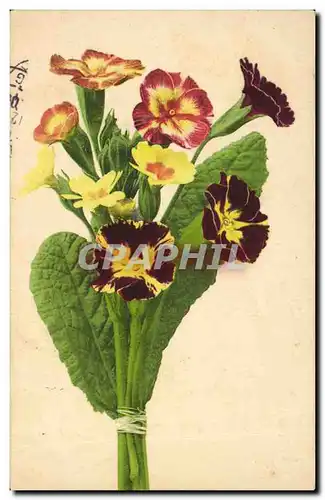 Cartes postales Fantaisie Fleurs